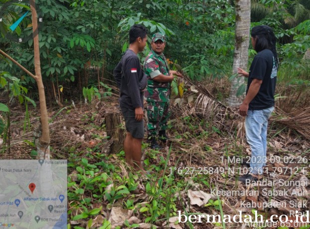 01052023-Siak_2.jpg