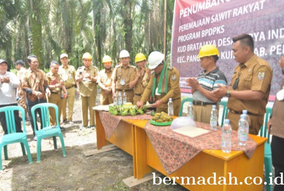 08022022-Pelalawan_1.jpg