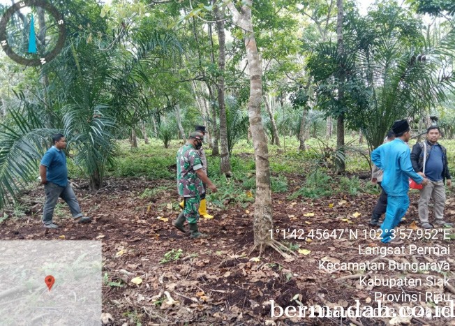 12012023-Siak_2.jpg