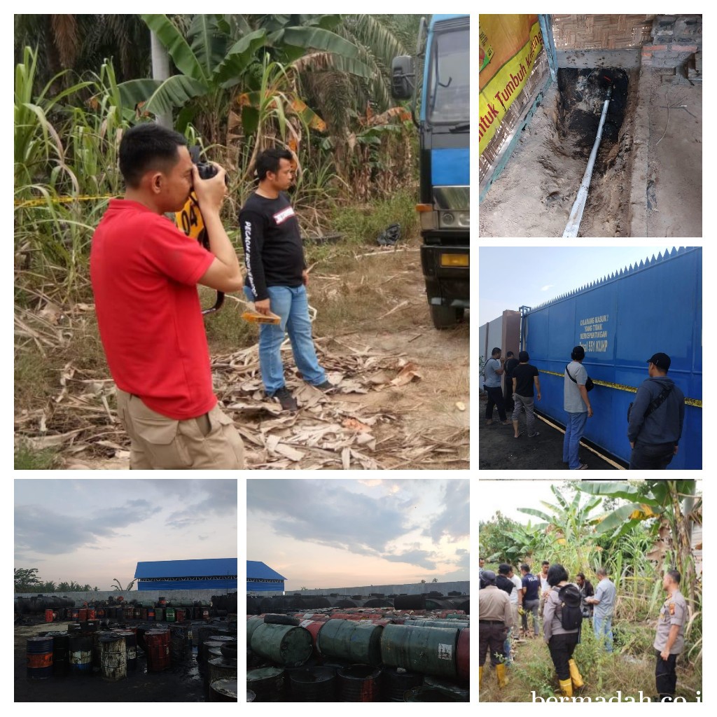 20200407_184309-COLLAGE.jpg
