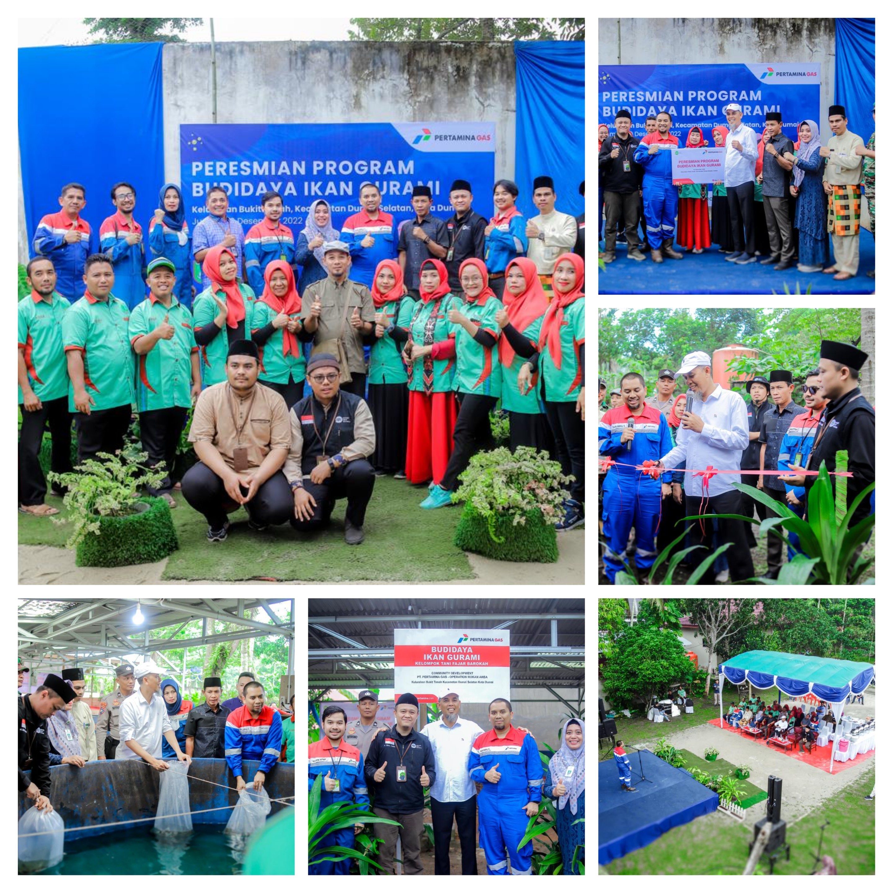 20221231_134406-COLLAGE.jpg