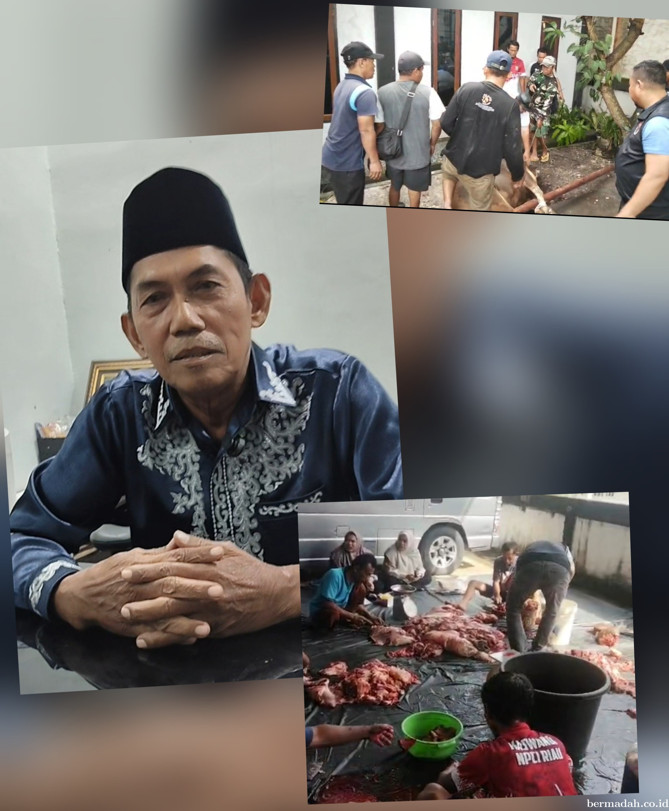 Idul Adha 1447 H, NPC Riau Qurban 2 Ekor Sapi
