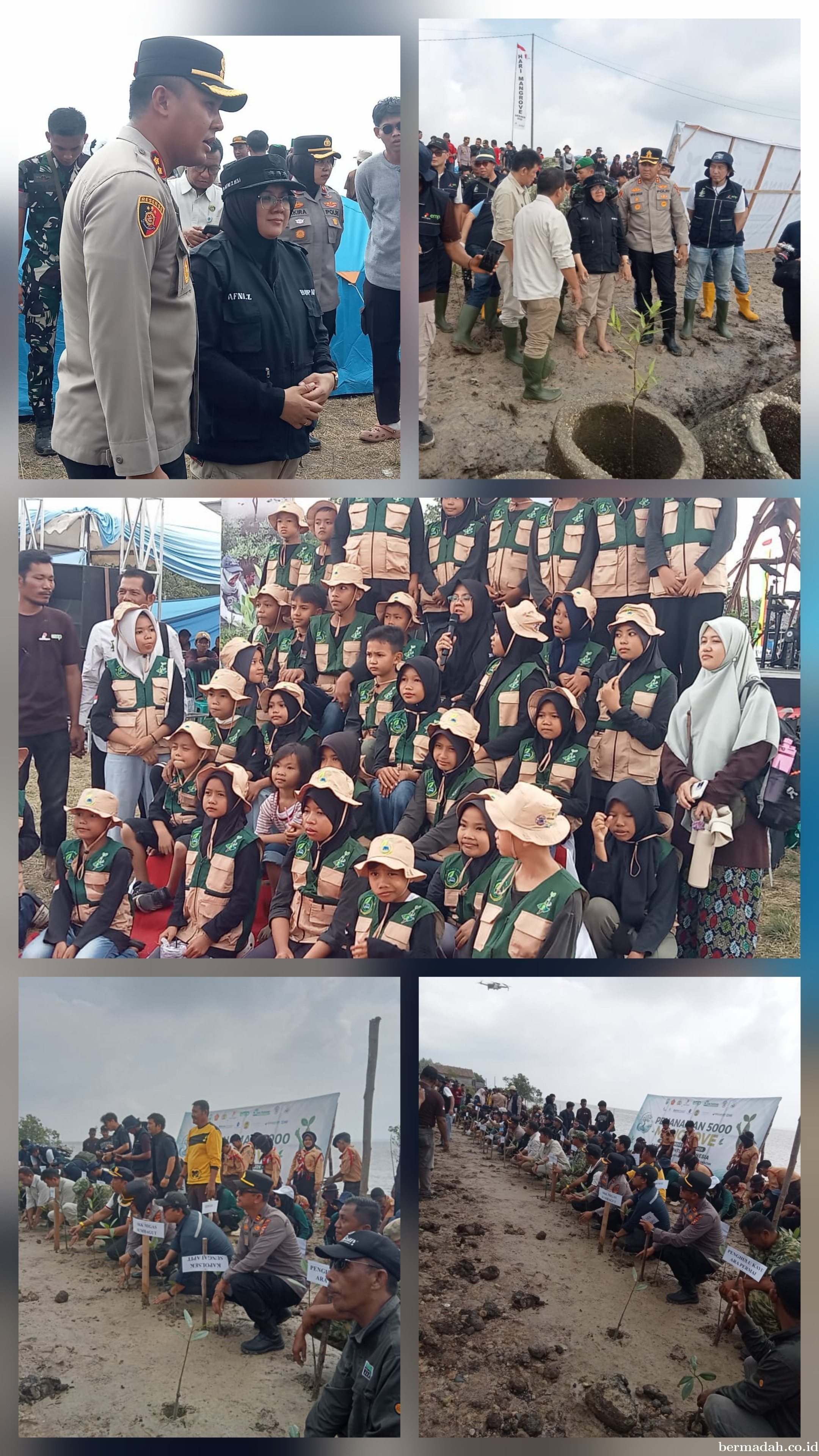 Bupati Siak Afni Pimpin Penanaman 5000 Bibit di Pantai Bunsur