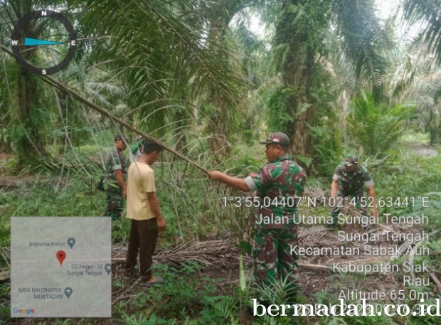 25022023-Siak_1.jpg