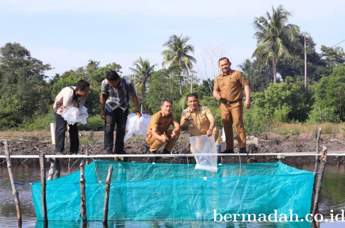 26072022-Meranti_1.jpg