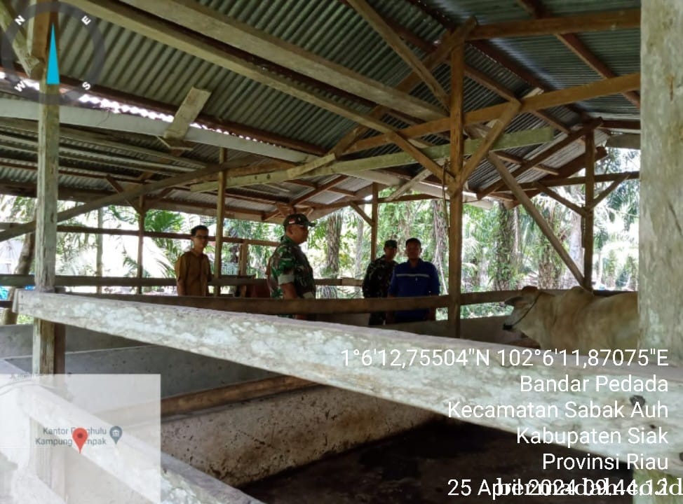 Kamis 25 April, Babinsa Koramil 06/PWK Sabak Auh Penetapan URC Tanggulangi PMK