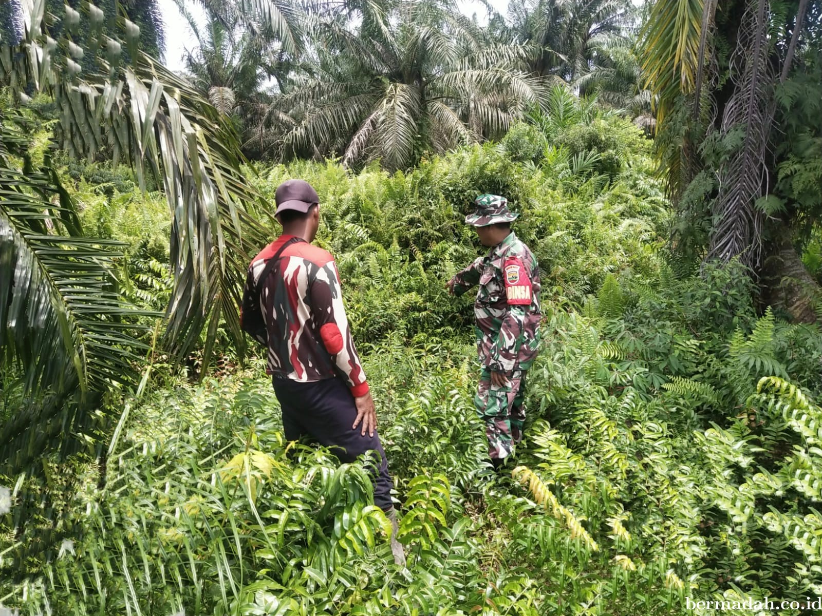 Penanggulangan Karhutla di Wilayah Koramil 02/Sungai Apit, Sabtu 27 April