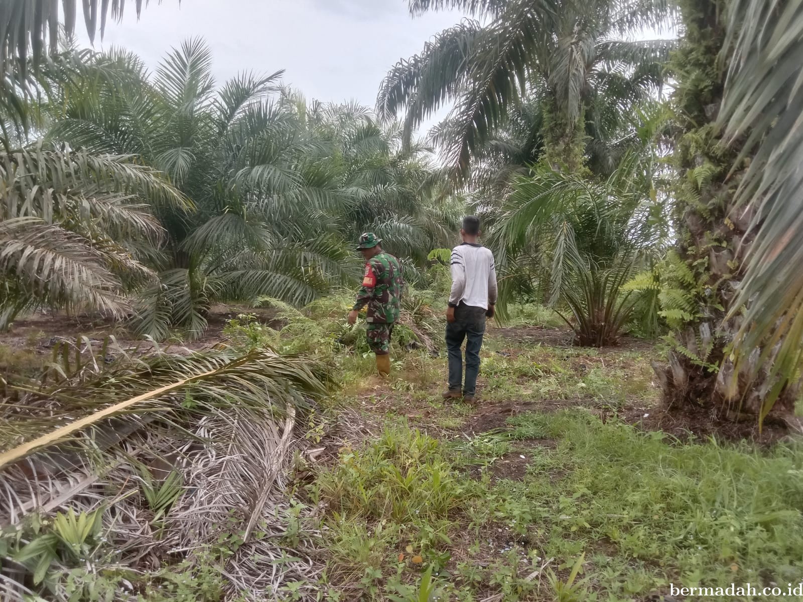 Penanggulangan Karhutla di Wilayah Koramil 02/Sungai Apit, Minggu 28 April