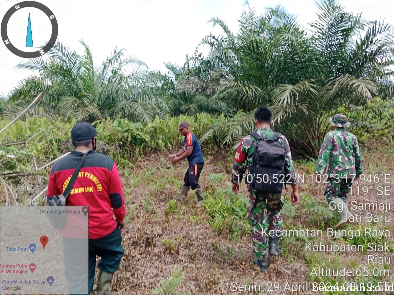 Penanggulangan Karhutla di lintas Wilayah Koramil 06/PWK Sabak Auh, Senin 29 April