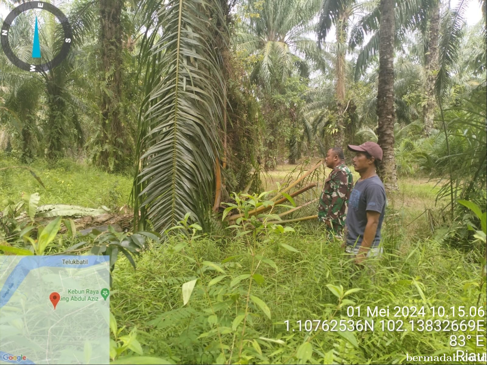 Penanggulangan Karhutla di Wilayah Koramil 02/Sungai Apit, Rabu 1 Mei