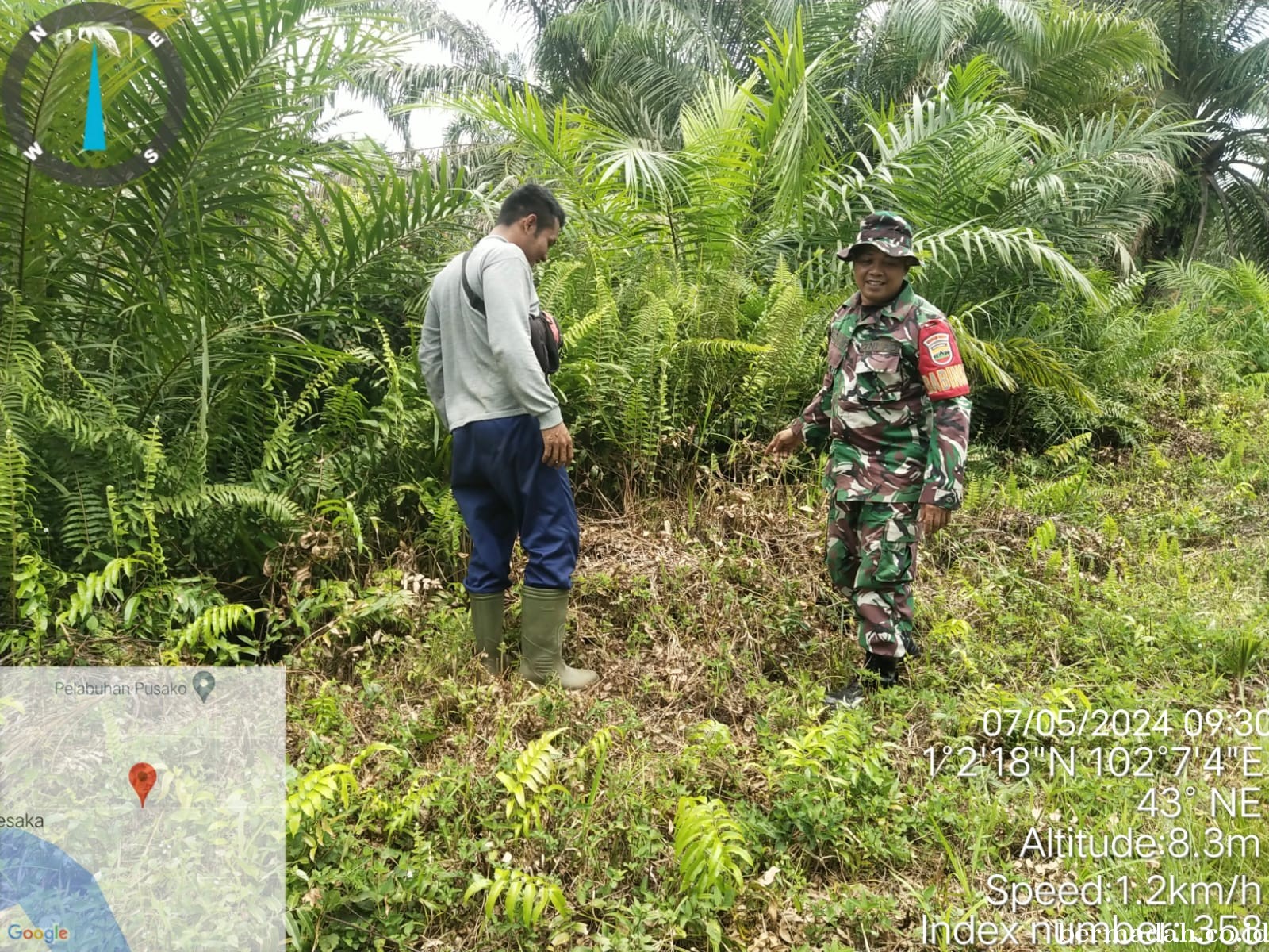 Penanggulangan Karhutla di Wilayah Koramil 02/Sungai Apit, Selasa 7 Mei
