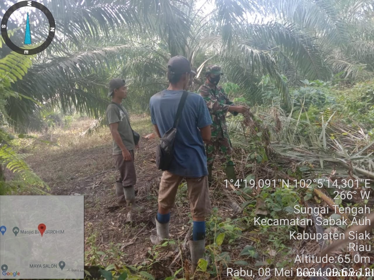 Penanggulangan Karhutla di lintas Wilayah Koramil 06/PWK Sabak Auh, Rabu 8 Mei