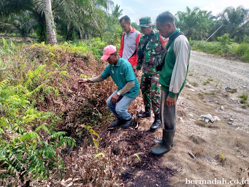 Penanggulangan Karhutla di Wilayah Koramil 02/Sungai Apit, Rabu 8 Mei