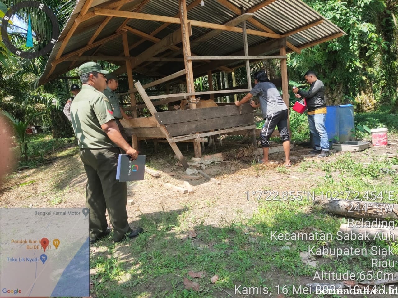 Kamis 16 Mei, Babinsa Koramil 06/PWK Sabak Auh Penetapan URC, Tanggulangi PMK