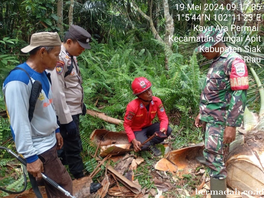 Penanggulangan Karhutla di Wilayah Koramil 02/Sungai Apit, Minggu 19 Mei