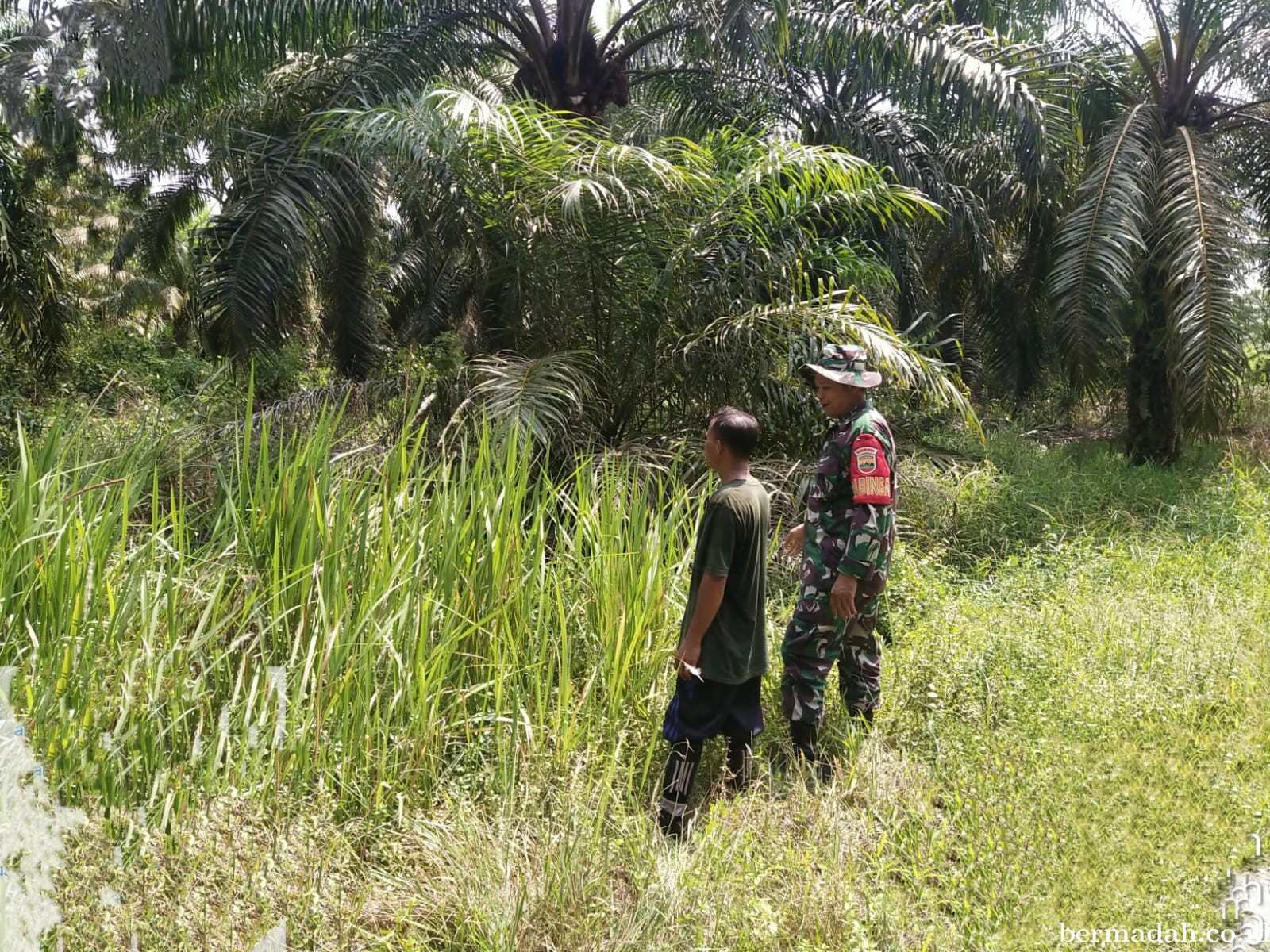 Penanggulangan Karhutla di Wilayah Koramil 02/Sungai Apit, Rabu 22 Mei
