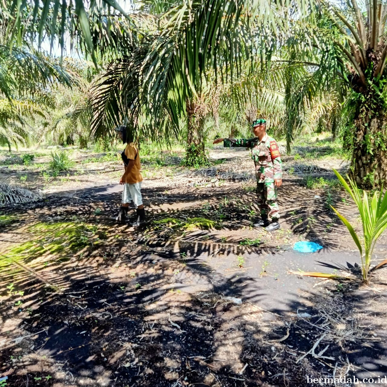 Penanggulangan Karhutla di Wilayah Koramil 02/Sungai Apit, Kamis 23 Mei