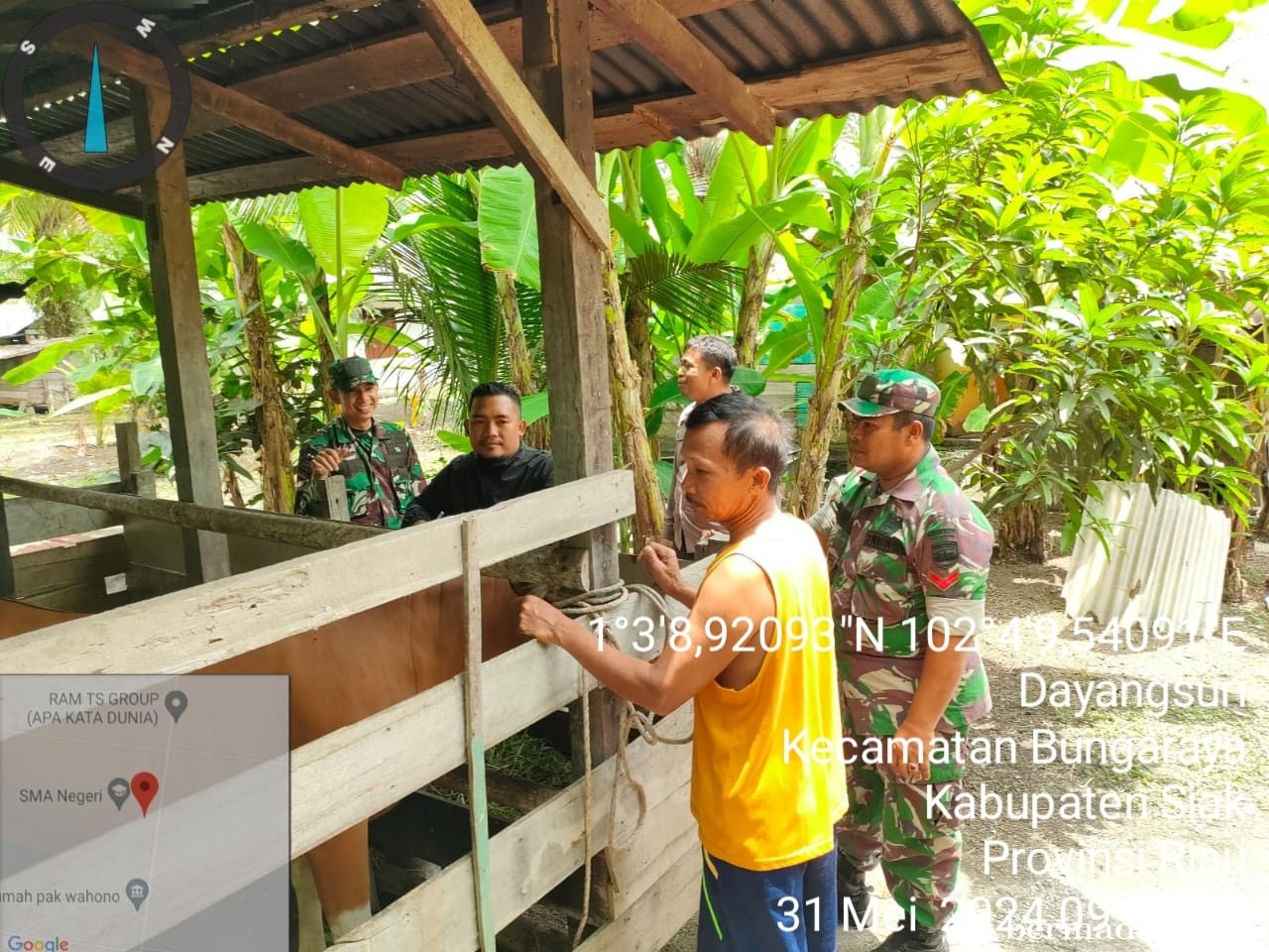 Jumat 31 Mei, Babinsa Koramil 06/PWK Sabak Auh Penetapan URC, Tanggulangi PMK