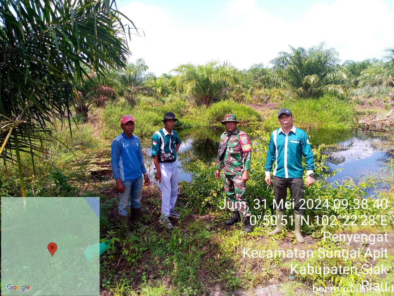 Penanggulangan Karhutla di Wilayah Koramil 02/Sungai Apit, Jumat 31 Mei