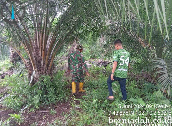Penanggulangan Karhutla di Wilayah Koramil 02/Sungai Apit, Rabu 5 Juni
