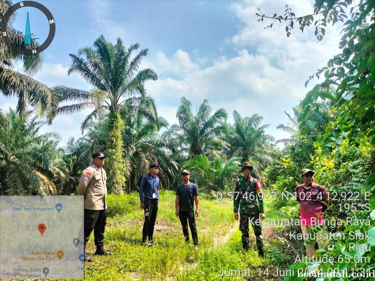Penanggulangan Karhutla di lintas Wilayah Koramil 06/PWK Sabak Auh, Jumat 14 Juni