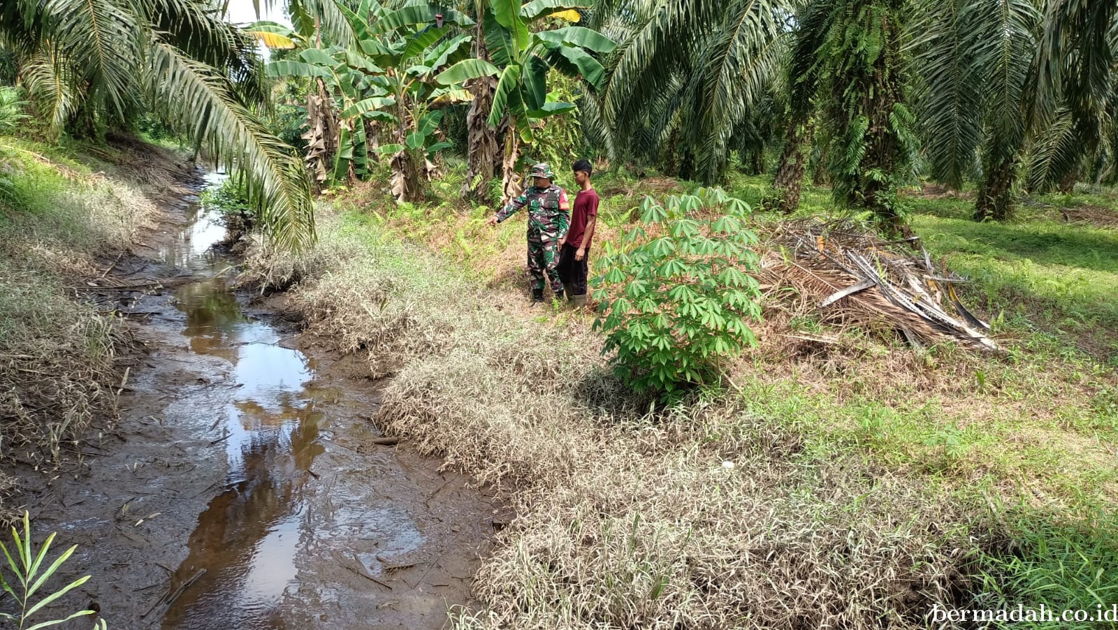 Penanggulangan Karhutla di Wilayah Koramil 02/Sungai Apit, Senin 17 Juni