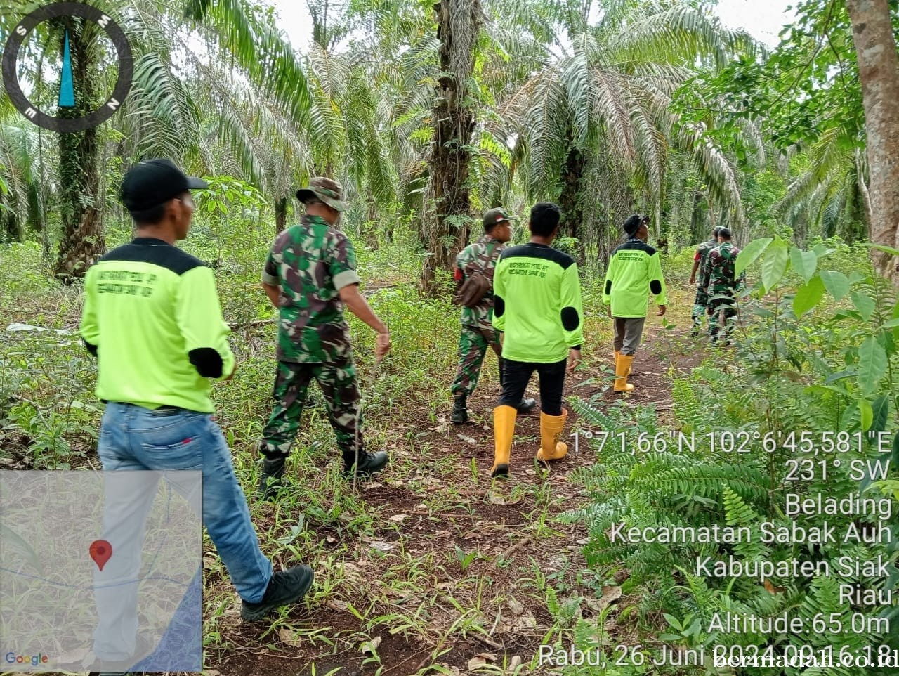 Penanggulangan Karhutla di lintas Wilayah Koramil 06/PWK Sabak Auh, Rabu 26 Juni