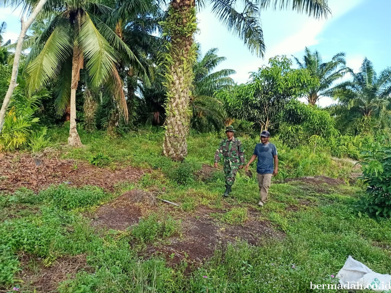 Penanggulangan Karhutla di Wilayah Koramil 02/Sungai Apit Kamis 1 Agustus