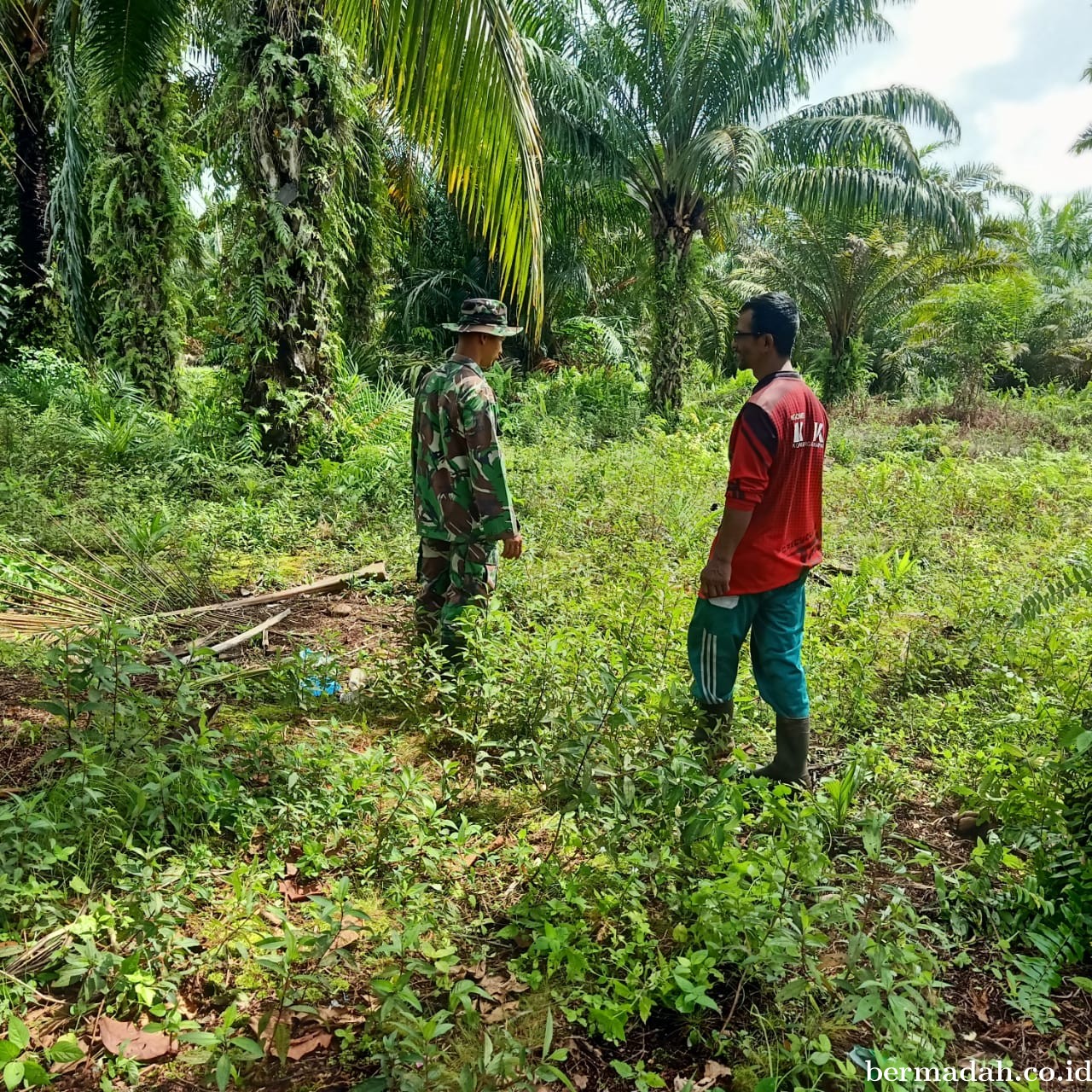 Penanggulangan Karhutla di *Wilayah Koramil 02/Sungai Apit Sabtu tanggal 31 Agustus