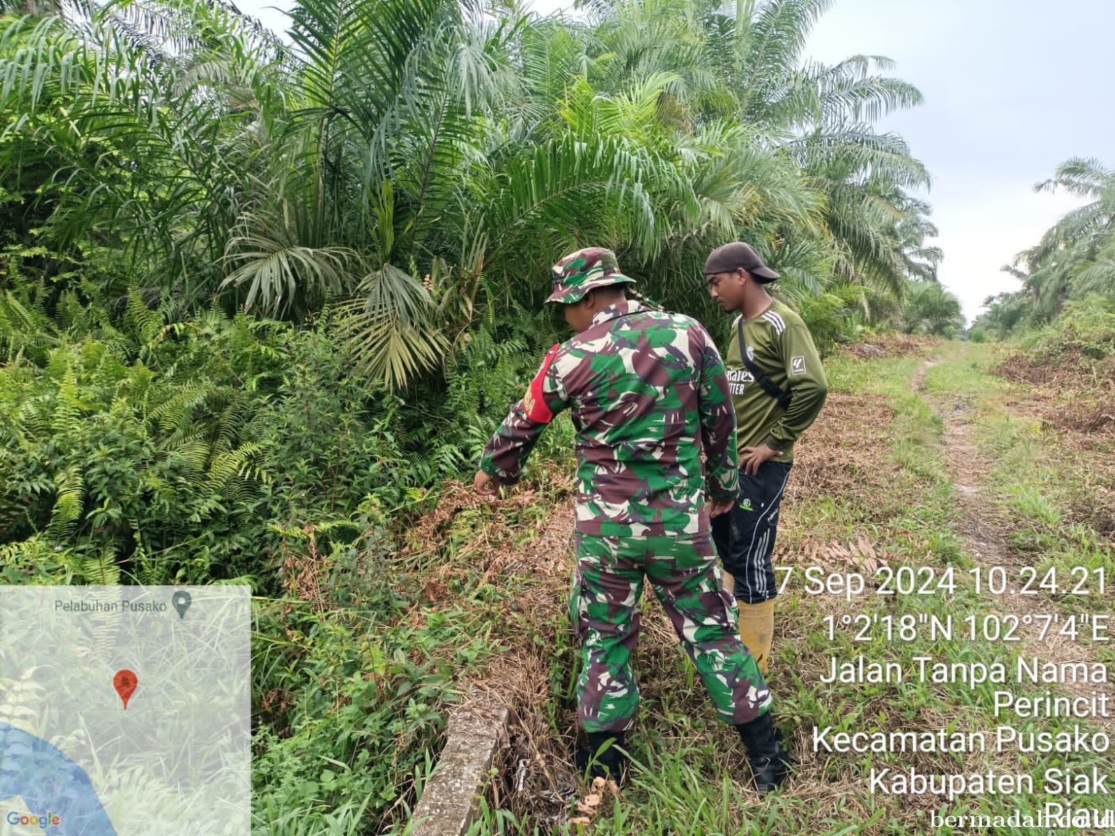 Penanggulangan Karhutla di Wilayah Koramil 02/Sungai Apit Sabtu, 7 September