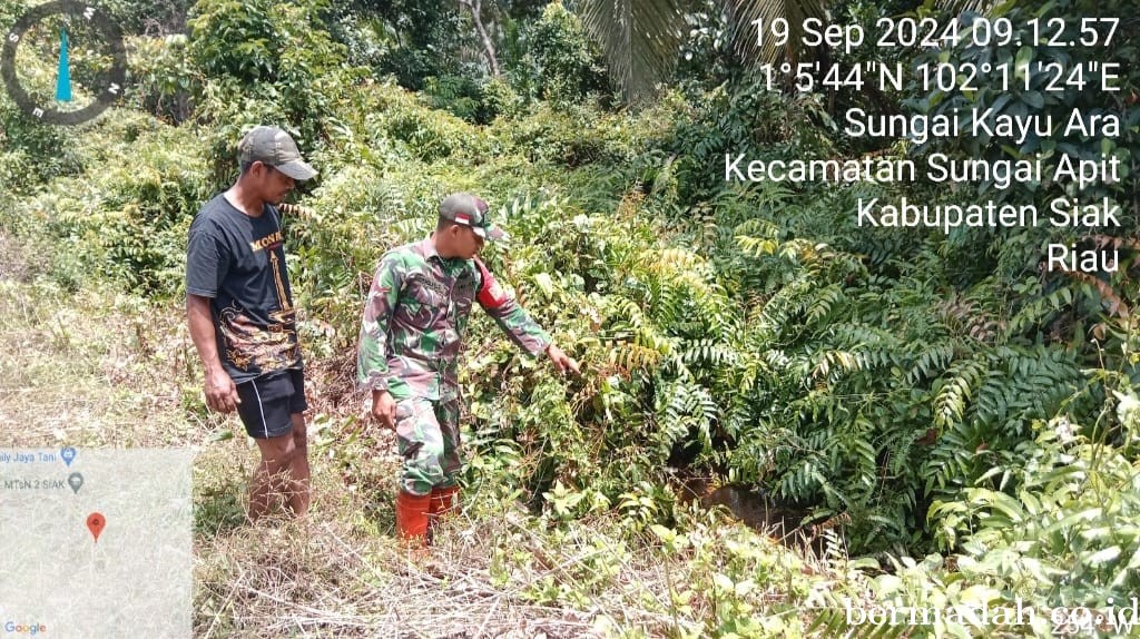 Penanggulangan Karhutla di Wilayah Koramil 02/Sungai Apit, Kamis 19 September