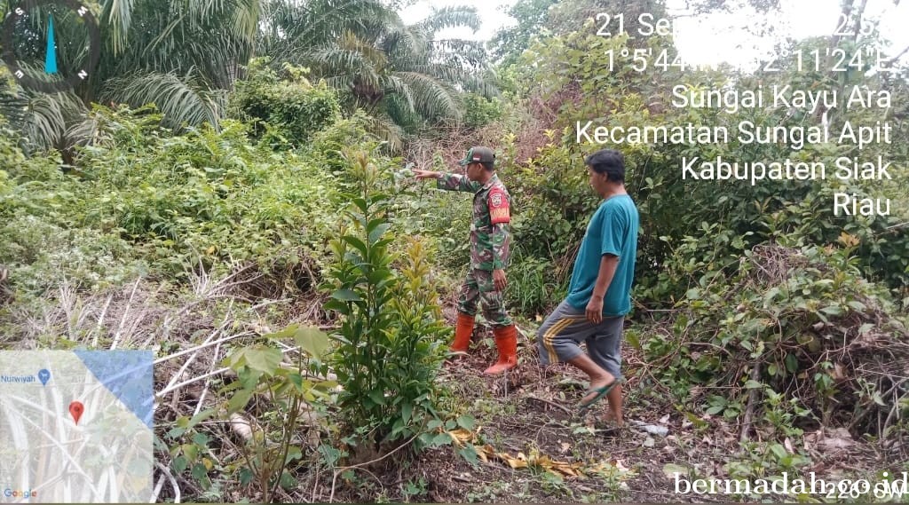 Penanggulangan Karhutla di Wilayah Koramil 02/Sungai Apit, Sabtu 21 September