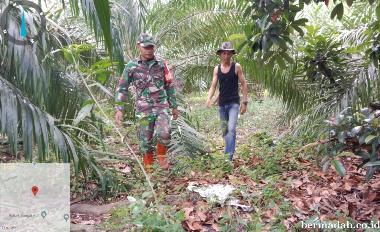 Penanggulangan Karhutla di Wilayah Koramil 02/Sungai Apit, Kamis 26 September