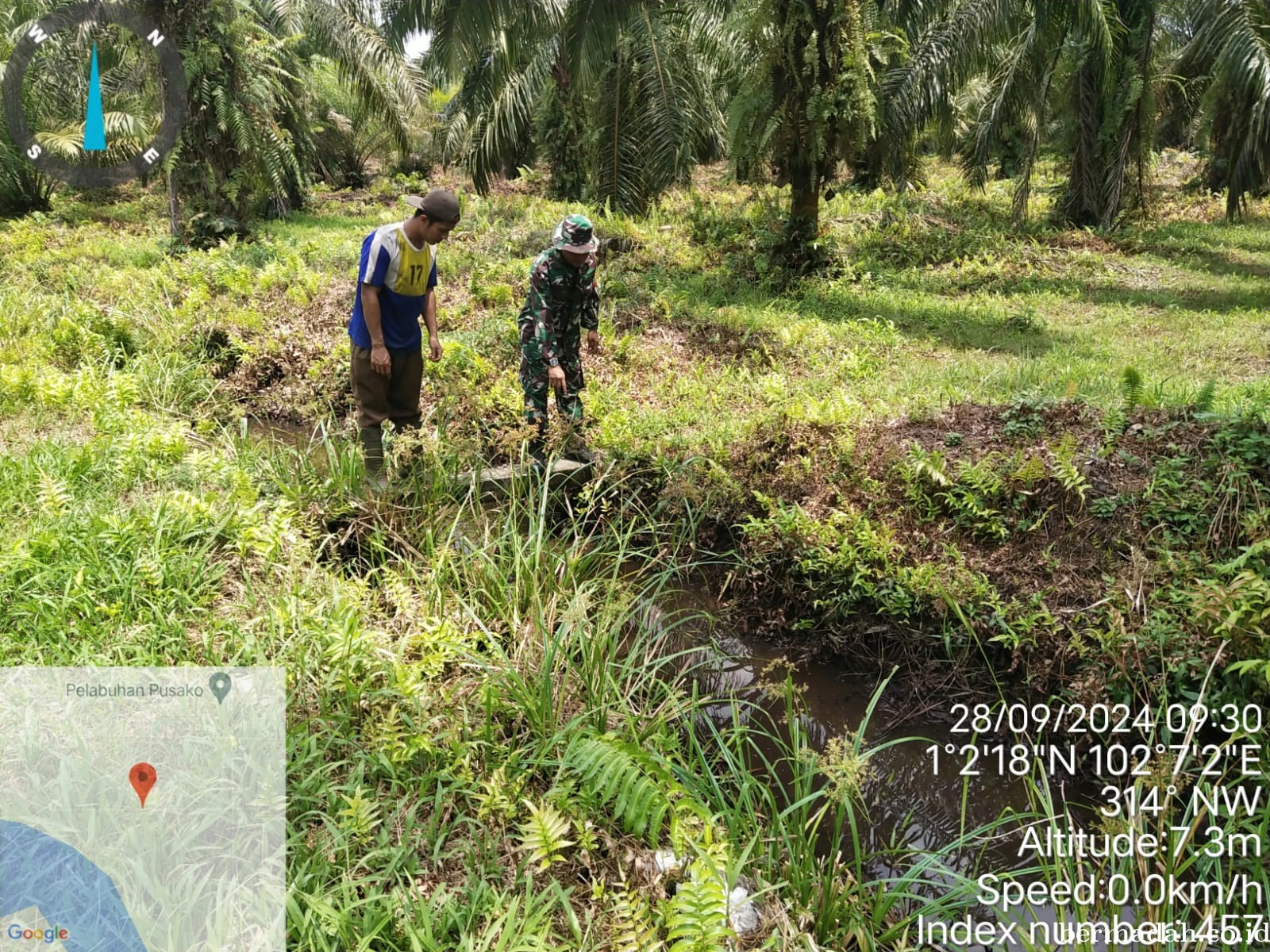 Penanggulangan Karhutla di Wilayah Koramil 02/Sungai Apit Sabtu 28 September