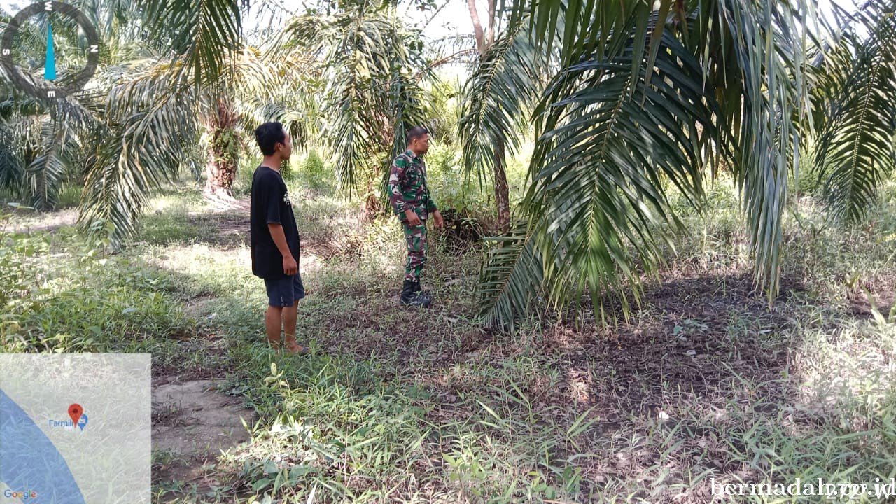 Penanggulangan Karhutla di Wilayah Koramil 02/Sungai Apit, Selasa 15 Oktober