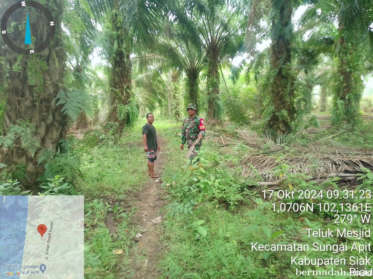Penanggulangan Karhutla di Wilayah Koramil 02/Sungai Apit, Kamis 17 Oktober