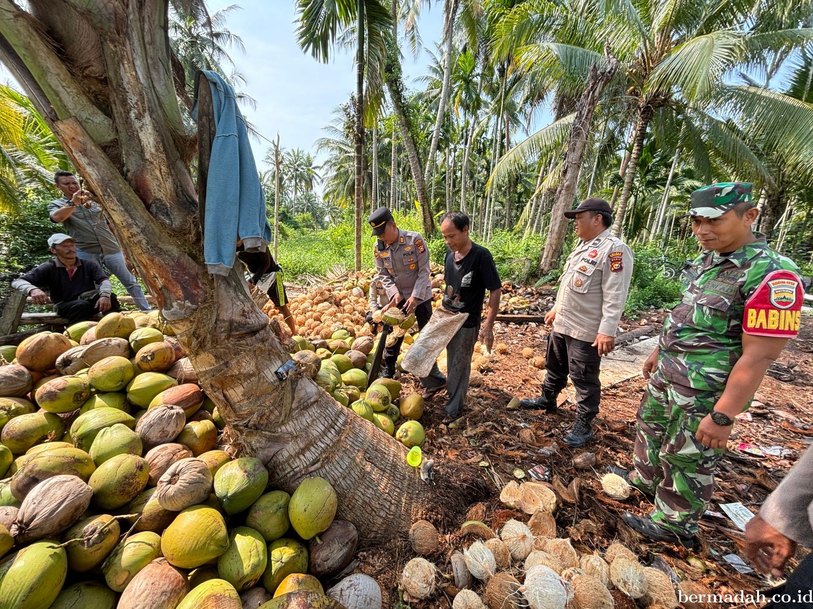 Sinergi TNI-Polri Ajak Petani Kelapa Amankan Pilkada 2024