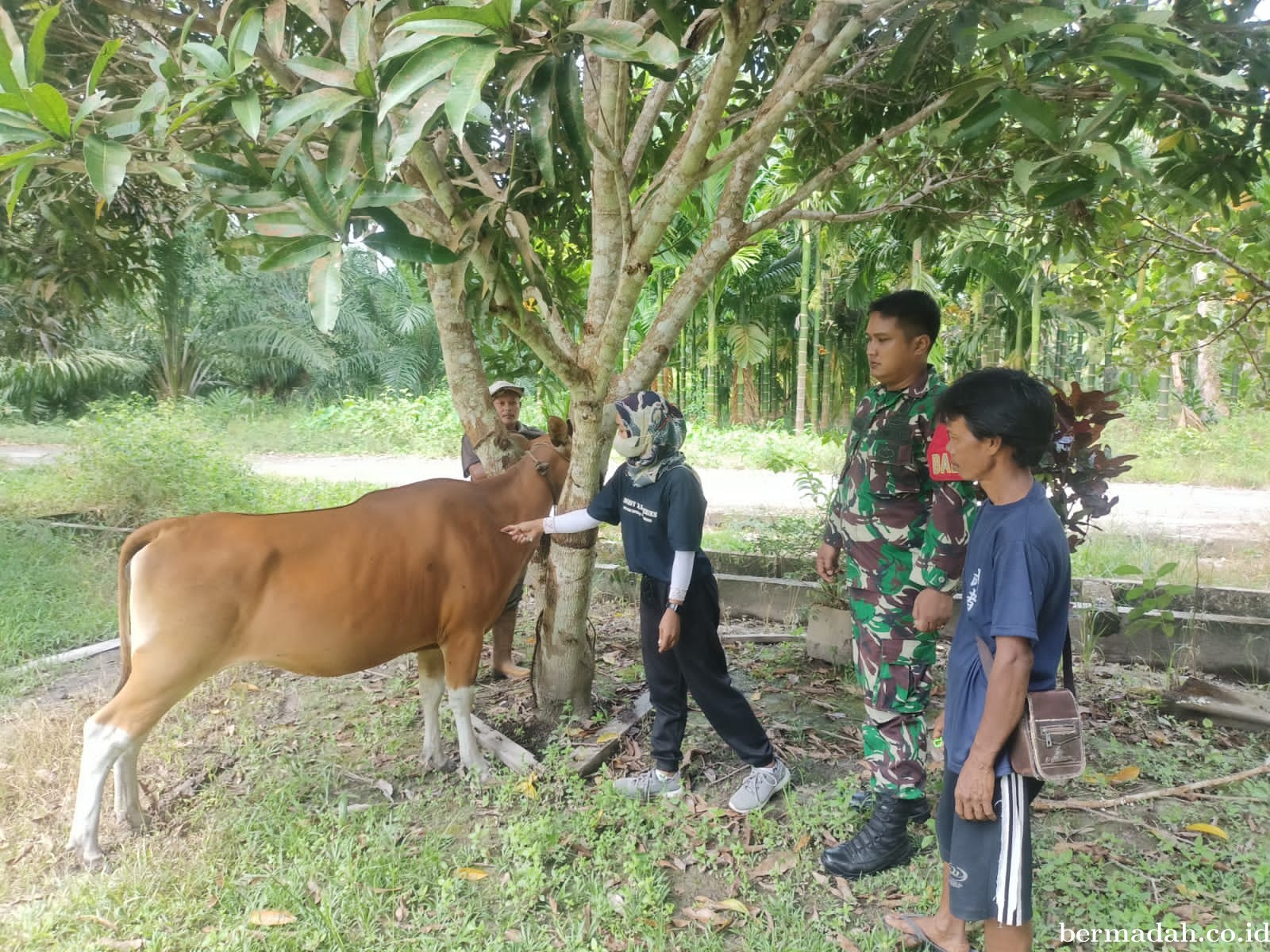 Jumat 8 November, Pendampingan Penyemprotan Disinfektan PMK URC Ternak di Kampung Pebadaran