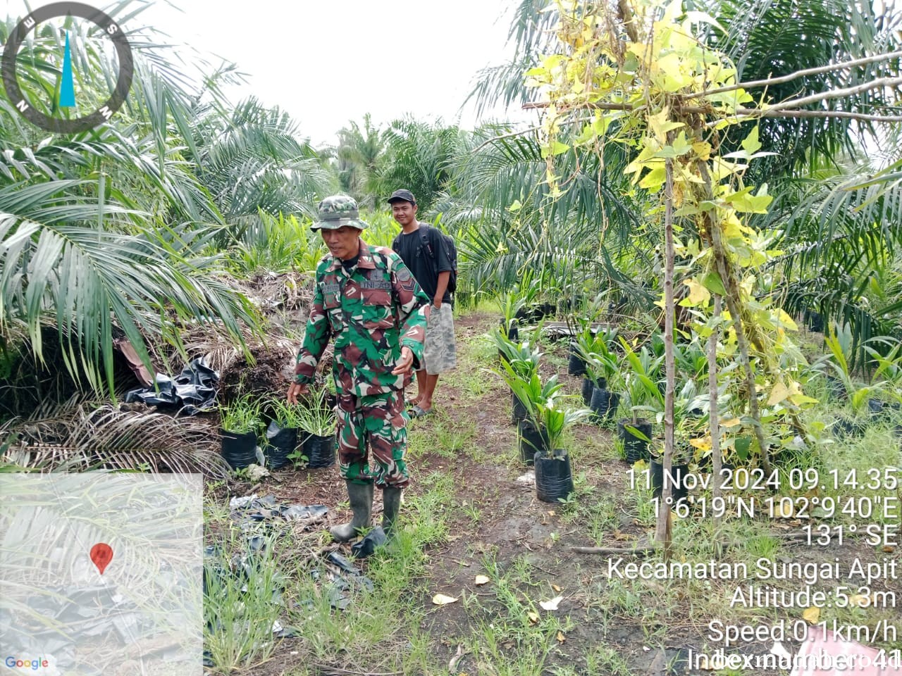 Penanggulangan Karhutla di Wilayah Koramil 02/Sungai Apit, Senin 11 November