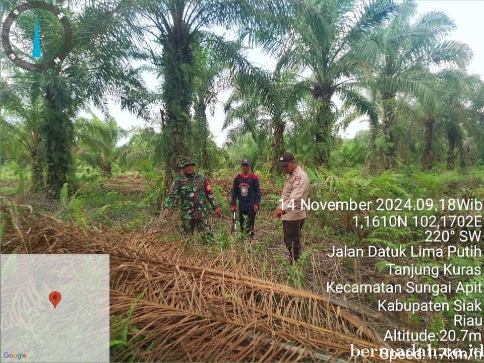 Penanggulangan Karhutla di Wilayah Koramil 02/Sungai Apit, Kamis 14 November