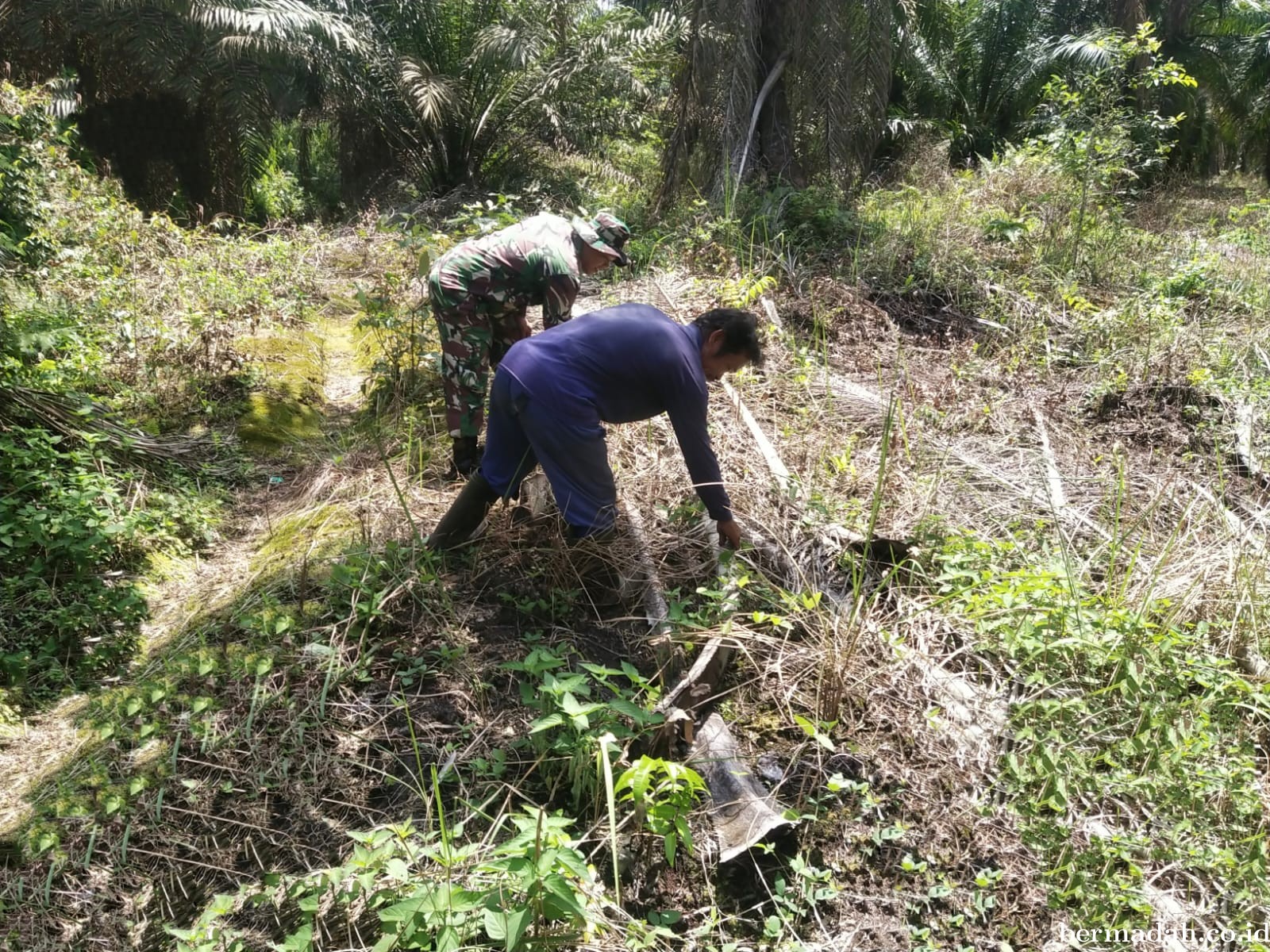 Penanggulangan Karhutla di Wilayah Koramil 02/Sungai Apit, Minggu 17 November