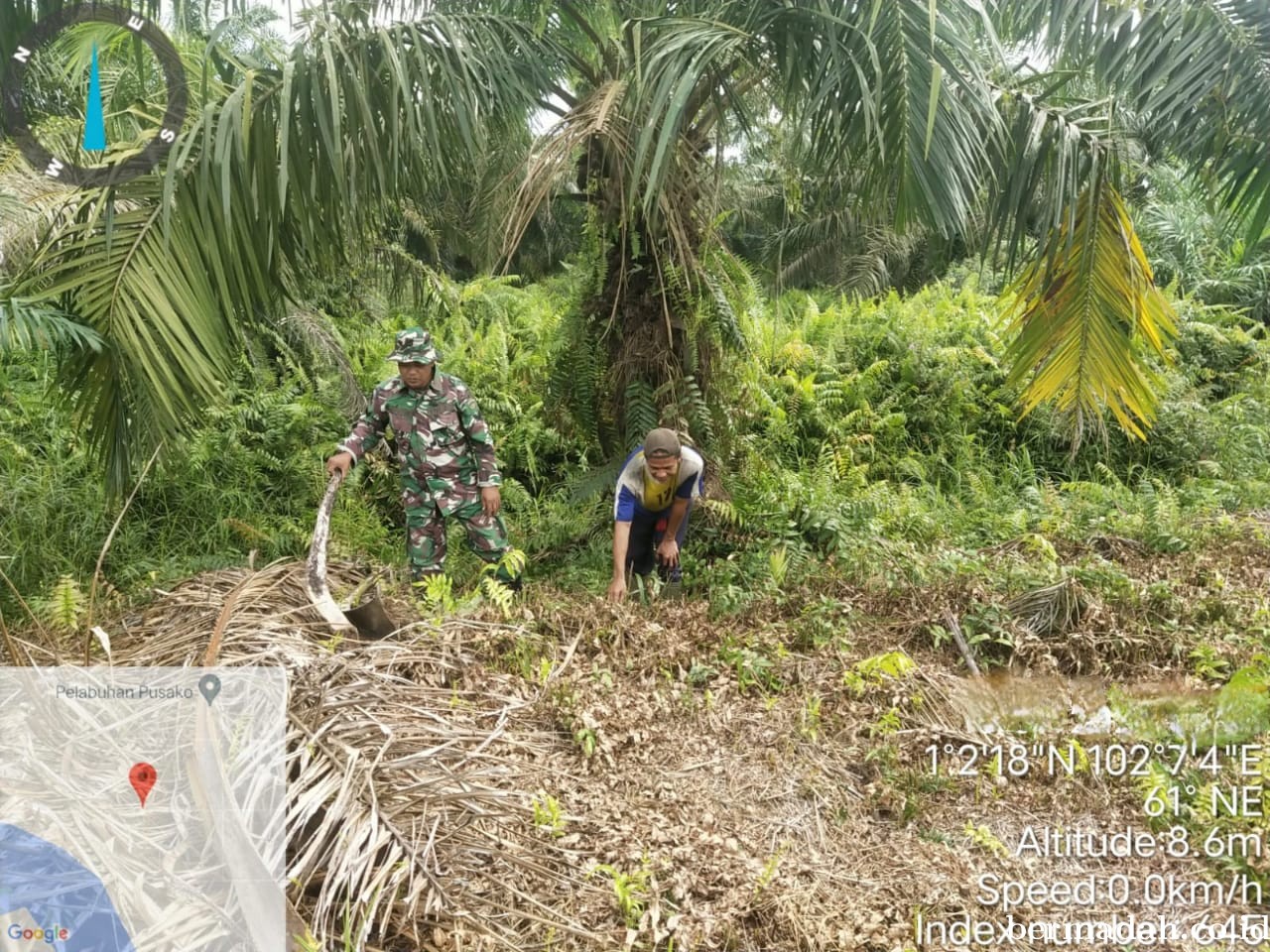 Penanggulangan Karhutla di Wilayah Koramil 02/Sungai Apit, Selasa 19 November