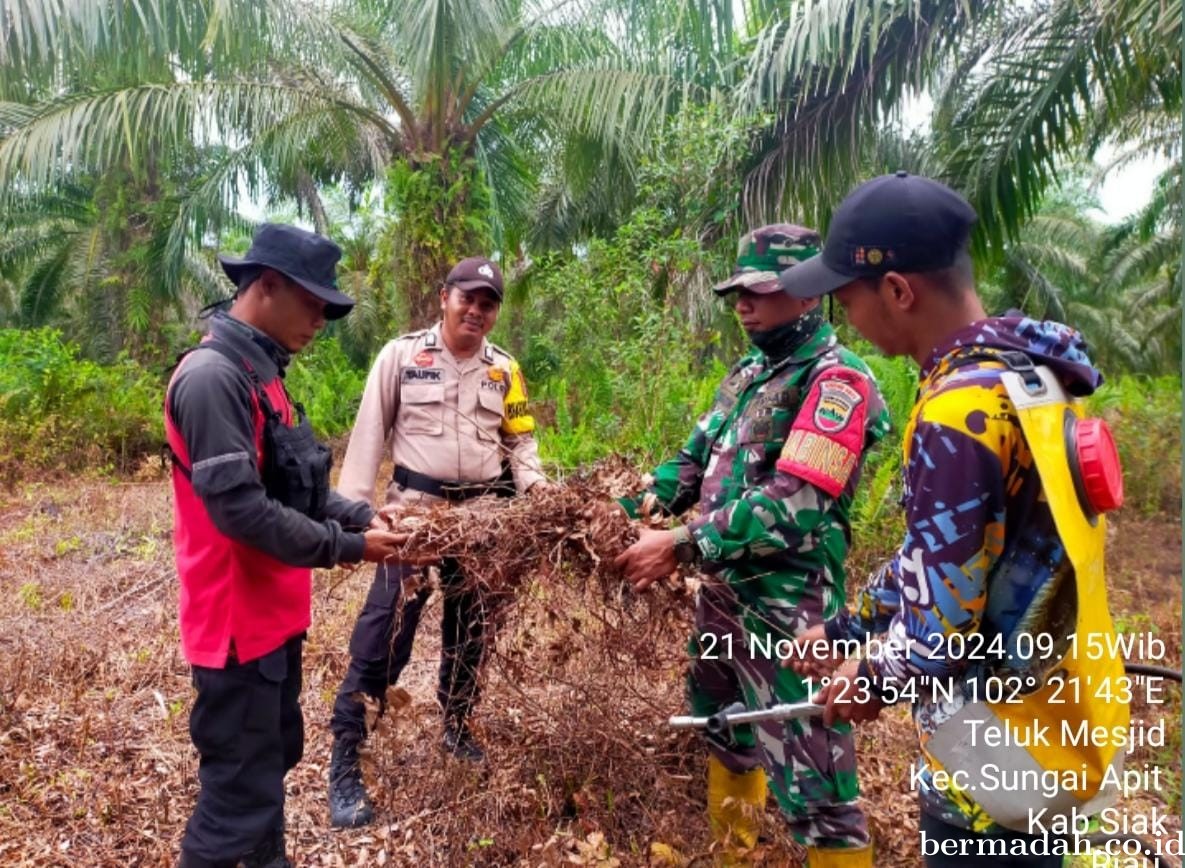 Kegiatan Penanggulangan Karhutla di Wilayah Koramil 02/Sungai Apit, Kamis 21 November