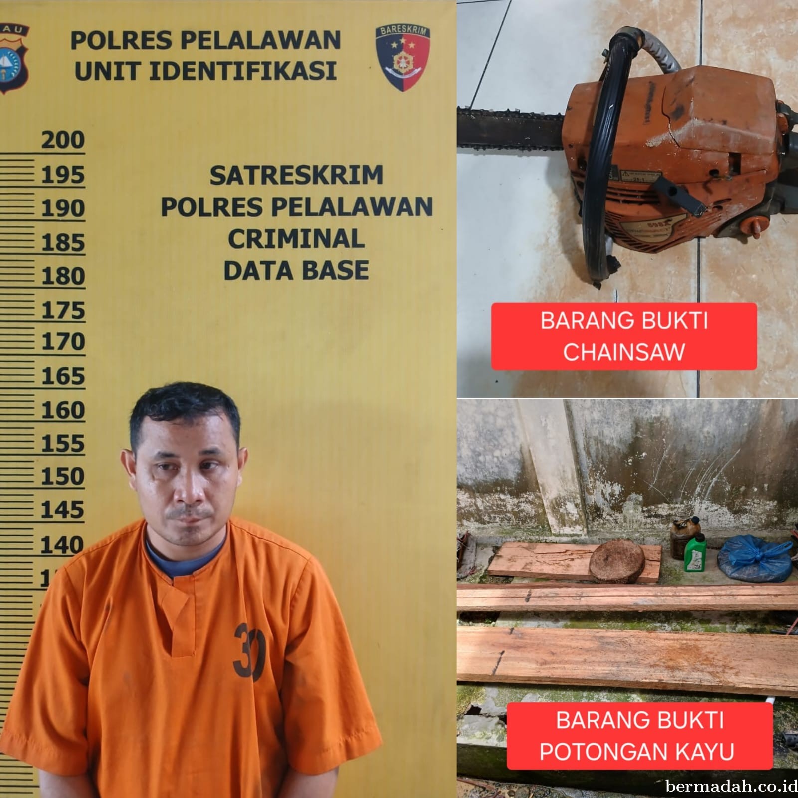 Polres Pelalawan Proses Laporan Tindak Pidana Kehutanan