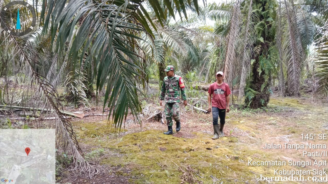 Penanggulangan Karhutla di Wilayah Koramil 02/Sungai Apit, Minggu 24 November