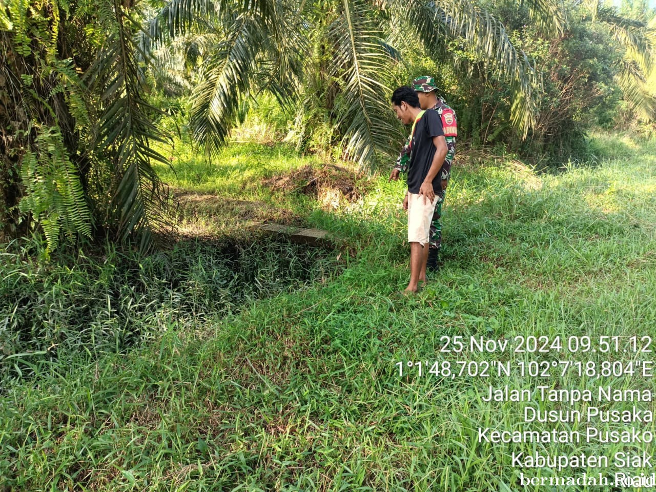 Kegiatan Penanggulangan Karhutla di Wilayah Koramil 02/Sungai Apit, Senin 25 November