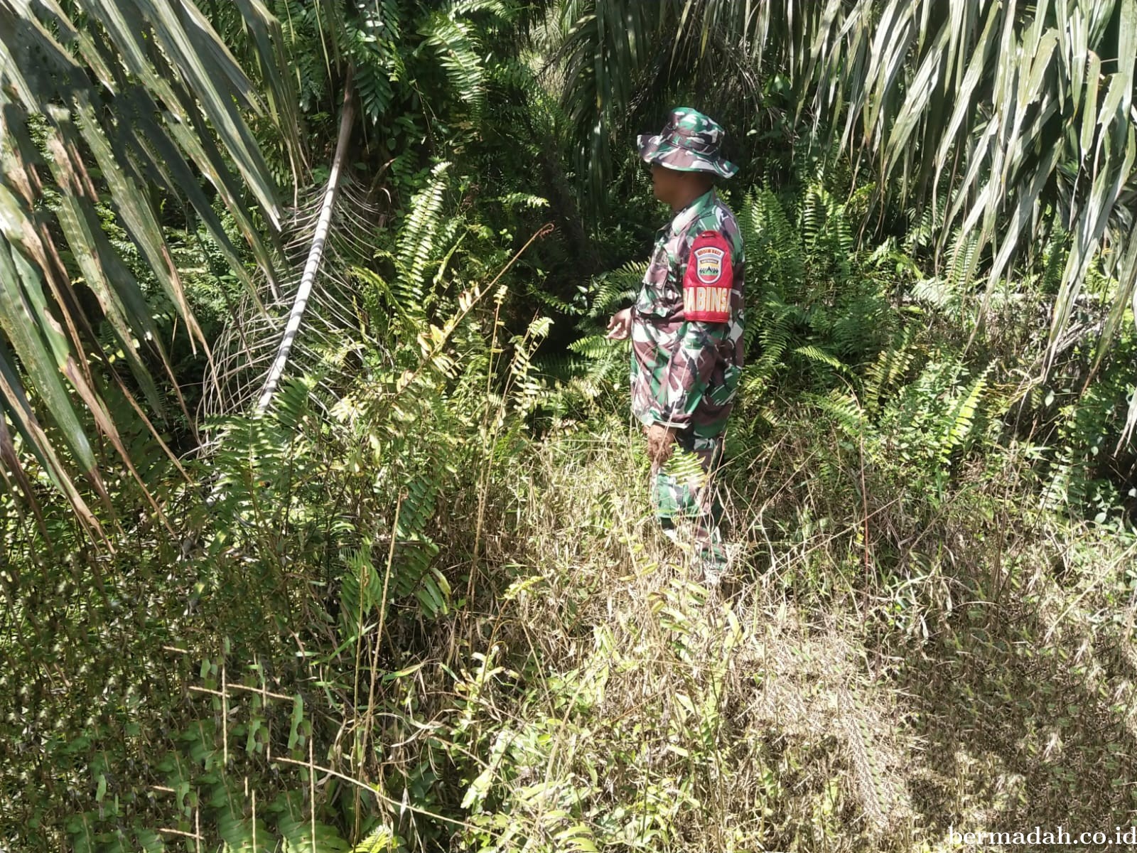Penanggulangan Karhutla di Wilayah Koramil 02/Sungai Apit Rabu 27 November