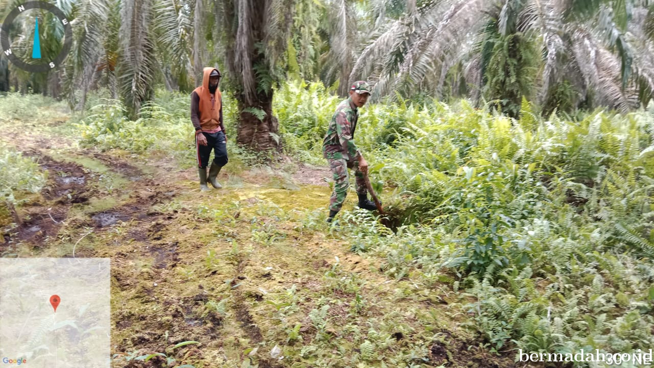 Penanggulangan Karhutla di Wilayah Koramil 02/Sungai Apit, Senin 2 Desember