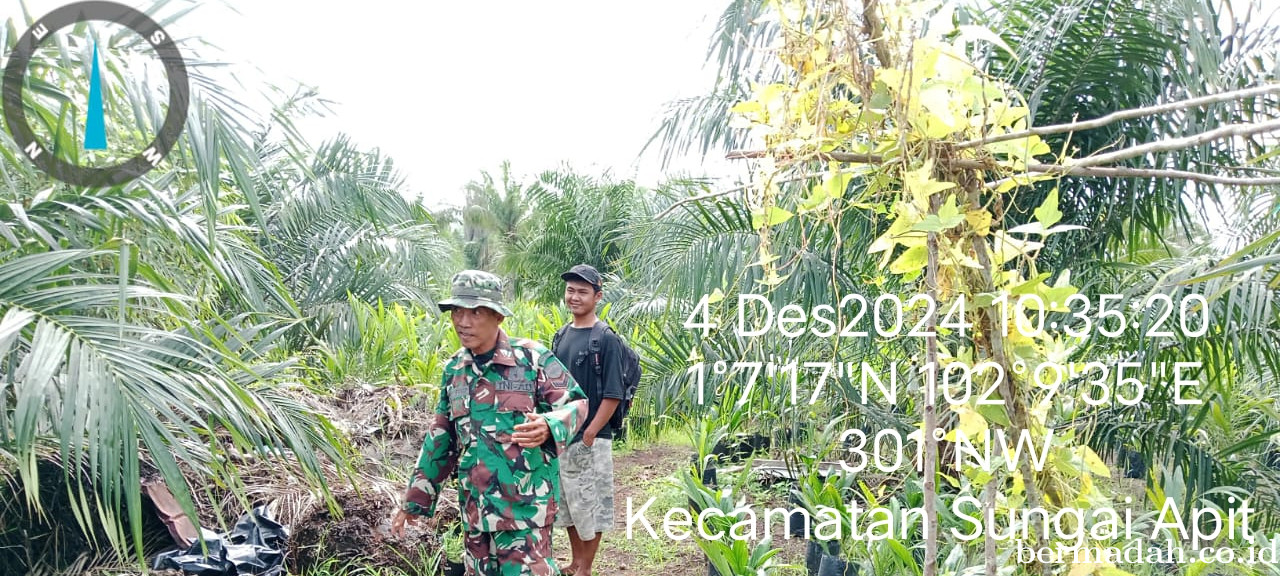 Penanggulangan Karhutla di Wilayah Koramil 02/Sungai Apit Rabu 4 Desember