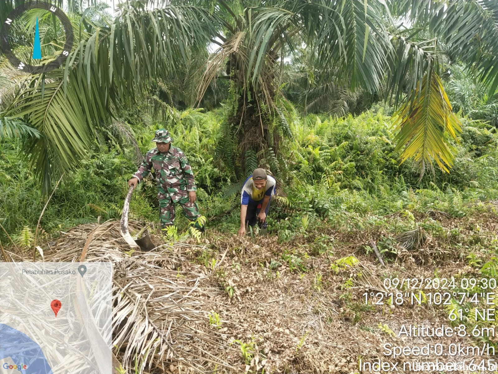 Penanggulangan Karhutla di Wilayah Koramil 02/Sungai Apit Senin 9 Desember
